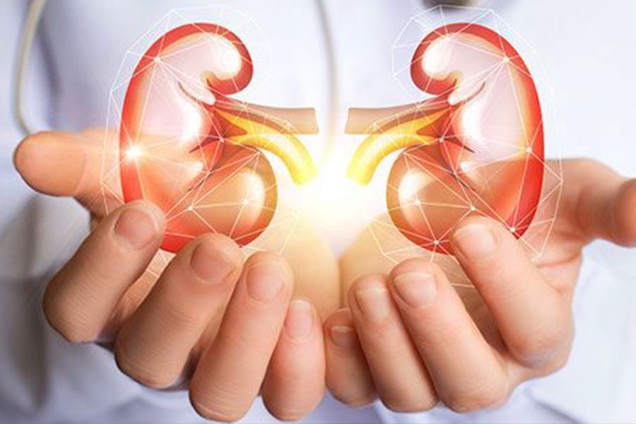 What Creatinine Blood Test Low and High Ranges by  Dr. Shiji Thomas Varghese